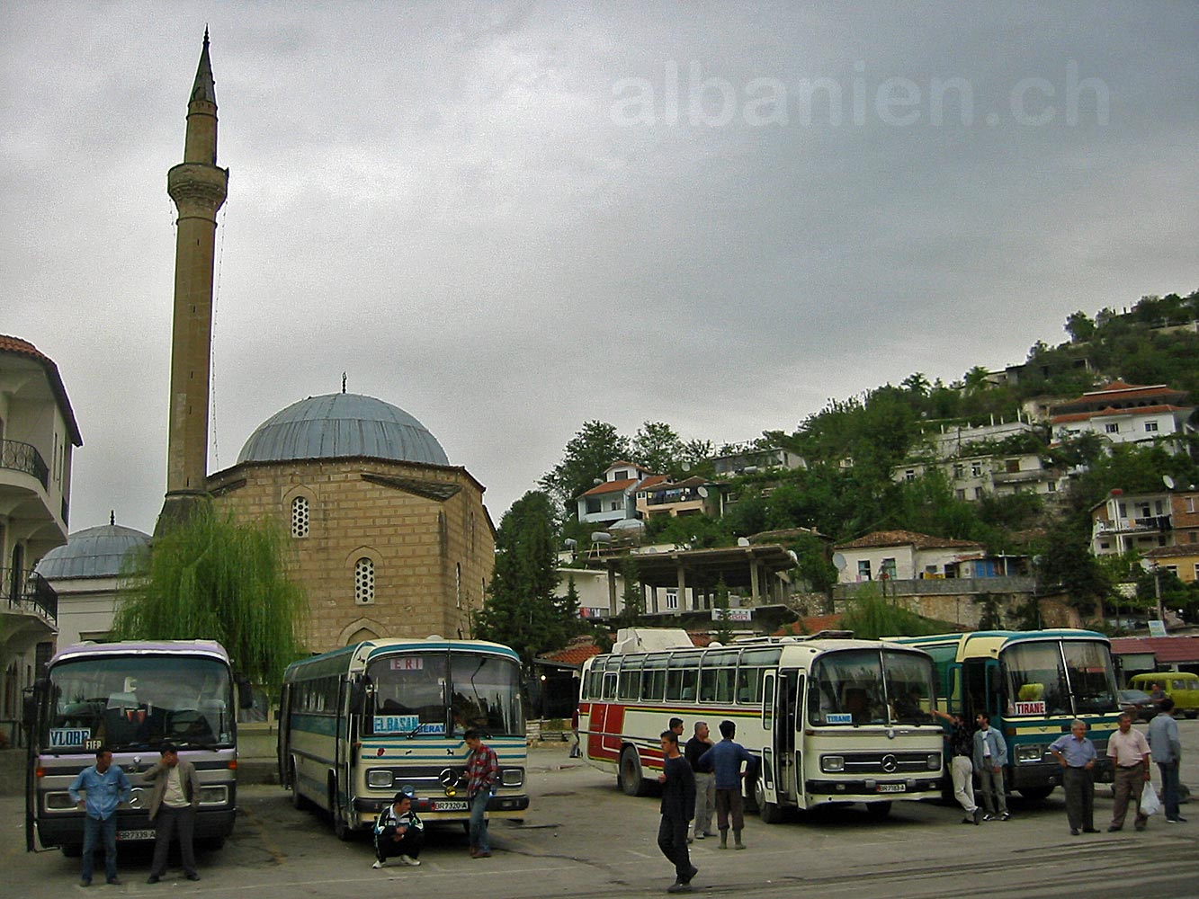 Berat_Busse.jpg