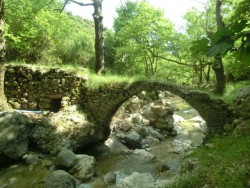 Brücke von Ilias.jpg