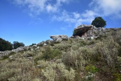 DSC_5044a.jpg (142.18 KiB) 17593 mal betrachtet DSC_5044a.jpg