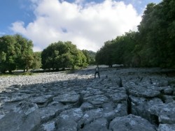 Erstaunliche Spaltenbildung.jpg (127.29 KiB) 17558 mal betrachtet Erstaunliche Spaltenbildung.jpg