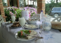 Essen im Gästehaus Lepnica.jpg