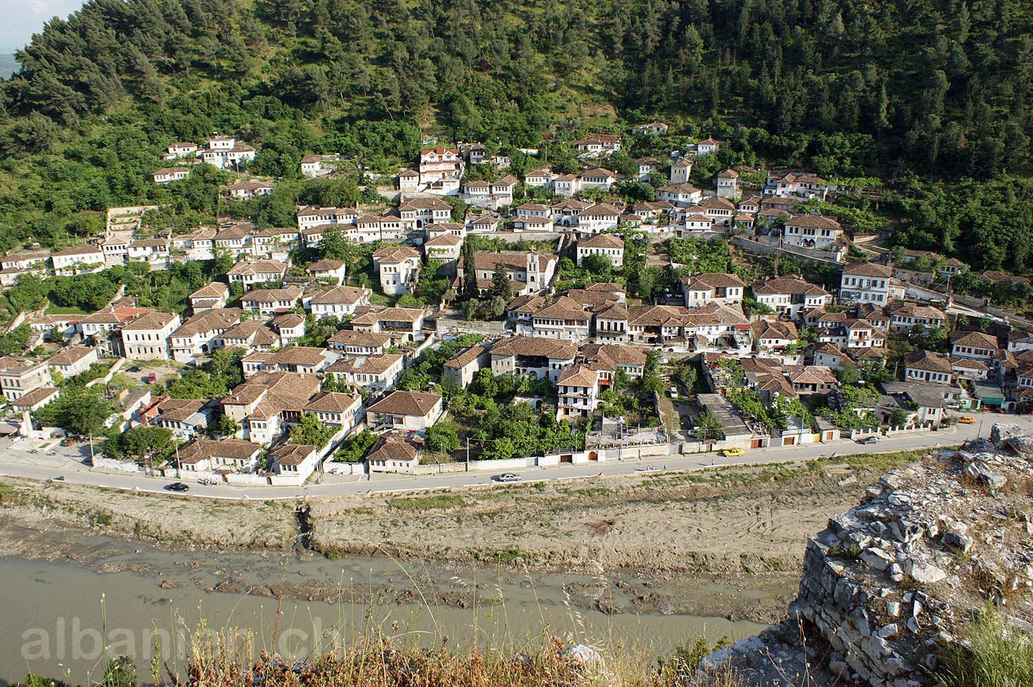 Berat_Gorica.jpg