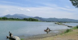 Rätselbrücke Juni.jpg
