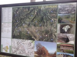 Dardhe1.jpg