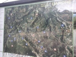 Dardhe2.jpg
