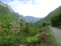 cemi1.jpg (182.56 KiB) 14784 mal betrachtet cemi1.jpg