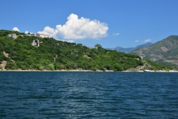 DSC_2000a.jpg