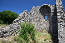 DSC_2011a.jpg