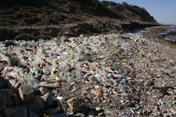 _MG_4835_Bildgröße ändern.JPG