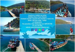 black pearl 2017.jpg