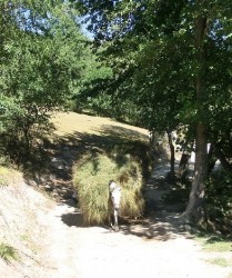 illegale Grenzgänger.jpg